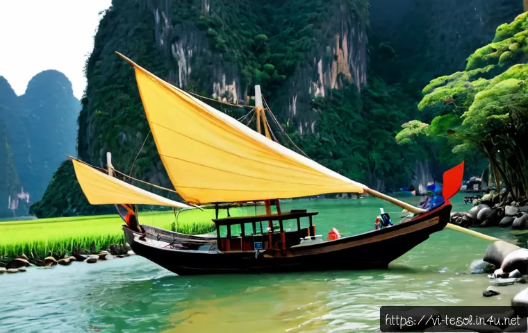 Cần bao lâu để hoàn thành TESOL? Cách chọn lộ trình phù hợp với thời gian và ngân sách 4 TESOL 자격증 취득에 필요한 시간 관련 이미지 2